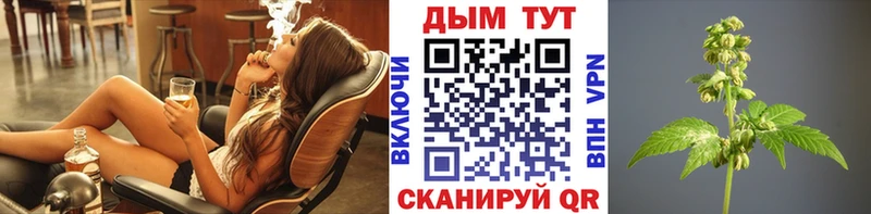 Конопля сатива  Купить закладки  Городище 